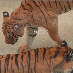 Meet your Posher, Carly